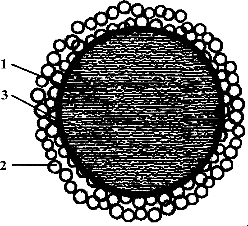 Dye sensitization solar cell and working electrode thereof