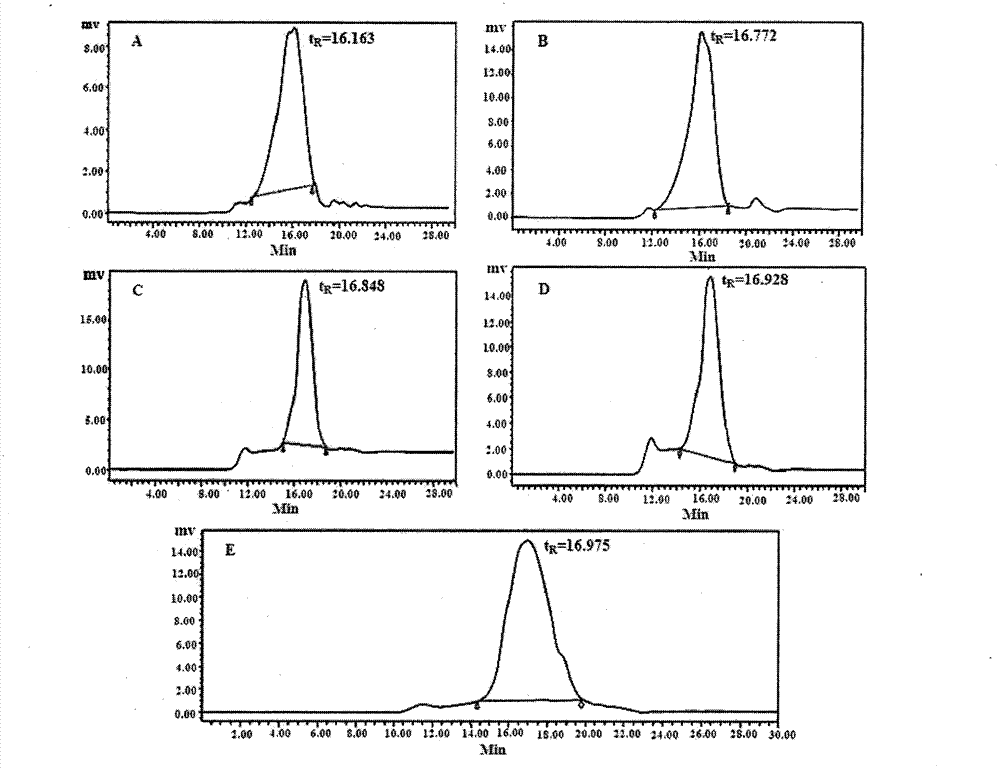 Chickweed polysaccharide composition and applications thereof in preparation of antiviral medicine