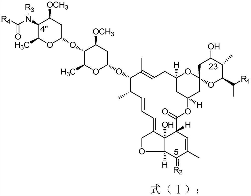 Abamectin B2 derivatives as well as preparation method and application thereof