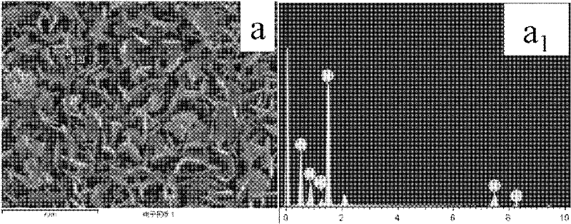 Vertically aligned layered double hydroxides (LDHs) film and application thereof in structured catalysis