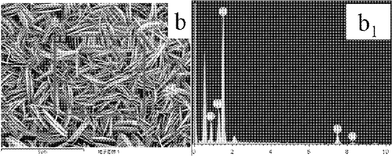 Vertically aligned layered double hydroxides (LDHs) film and application thereof in structured catalysis