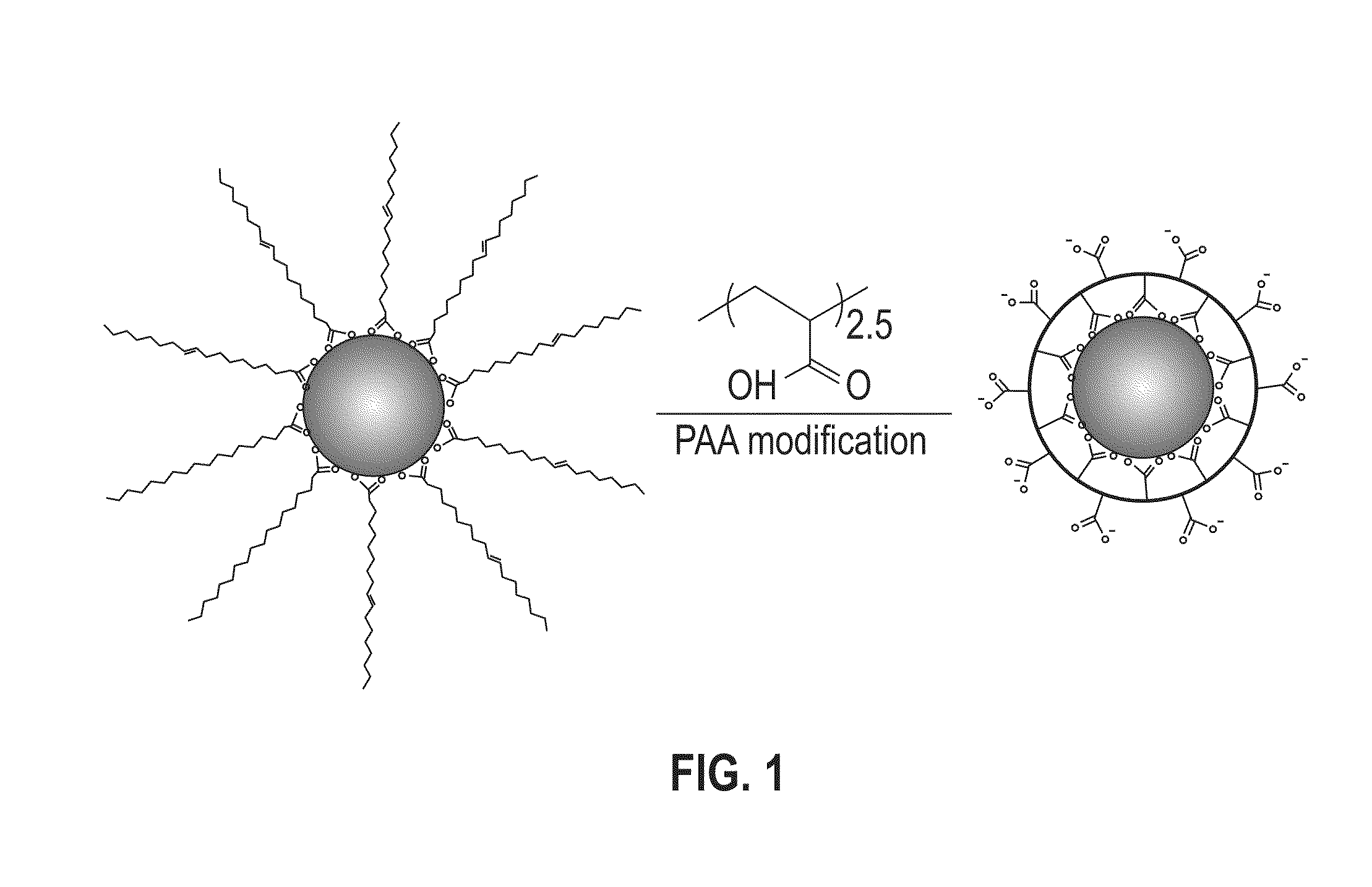 Method for silica encapsulation of magnetic particles