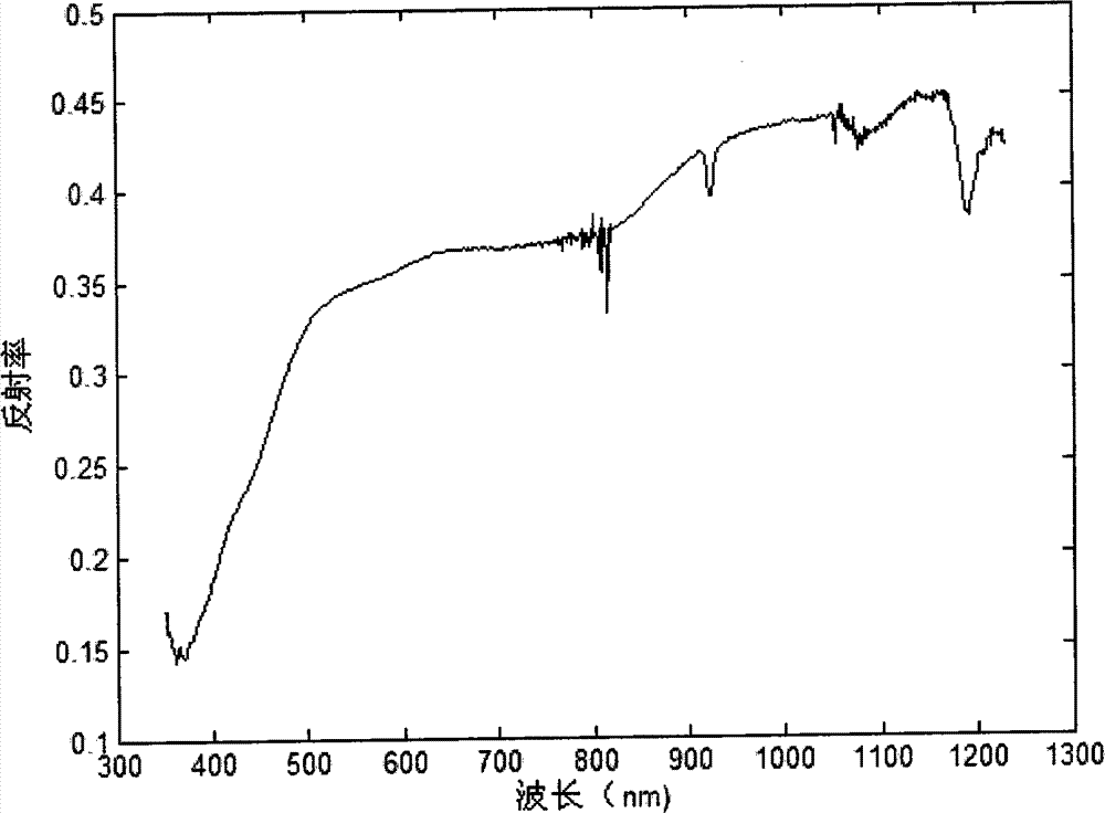 Soil lead content measurement method using visible and near-infrared spectroscopy technology