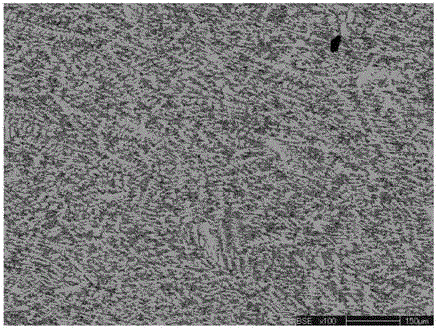 A kind of cocrpt series alloy sputtering target material and thin film and preparation method thereof