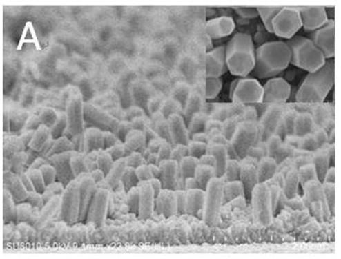 Cadmium sulfide two-dimensional nanorod array catalyst and its preparation method and application