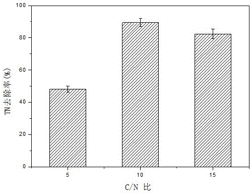 Enterobacter cloacae and application thereof