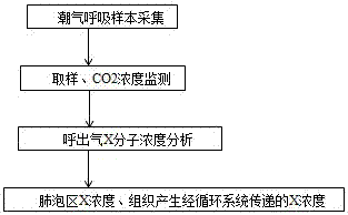 Method for measuring the concentration of gas molecules in the respiratory and circulatory system in exhaled breath