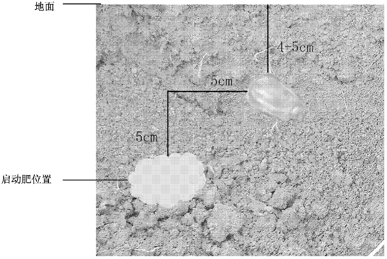 Local double regulation method for application of starter fertilizer and top dressing for maize