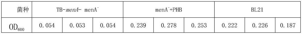 Application of Oxinaline in Antibacterial Drugs and Method for Screening Antibiotics