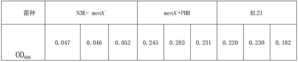 Application of Oxinaline in Antibacterial Drugs and Method for Screening Antibiotics