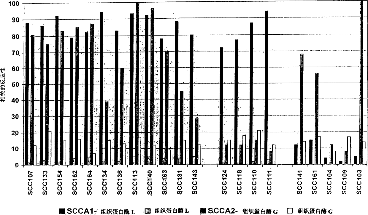 Immunoassays for specific determination of SCCA isoforms