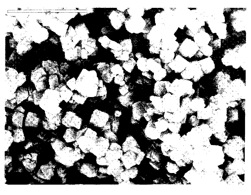 Small crystal particle Y-shaped molecular sieve and preparation method thereof