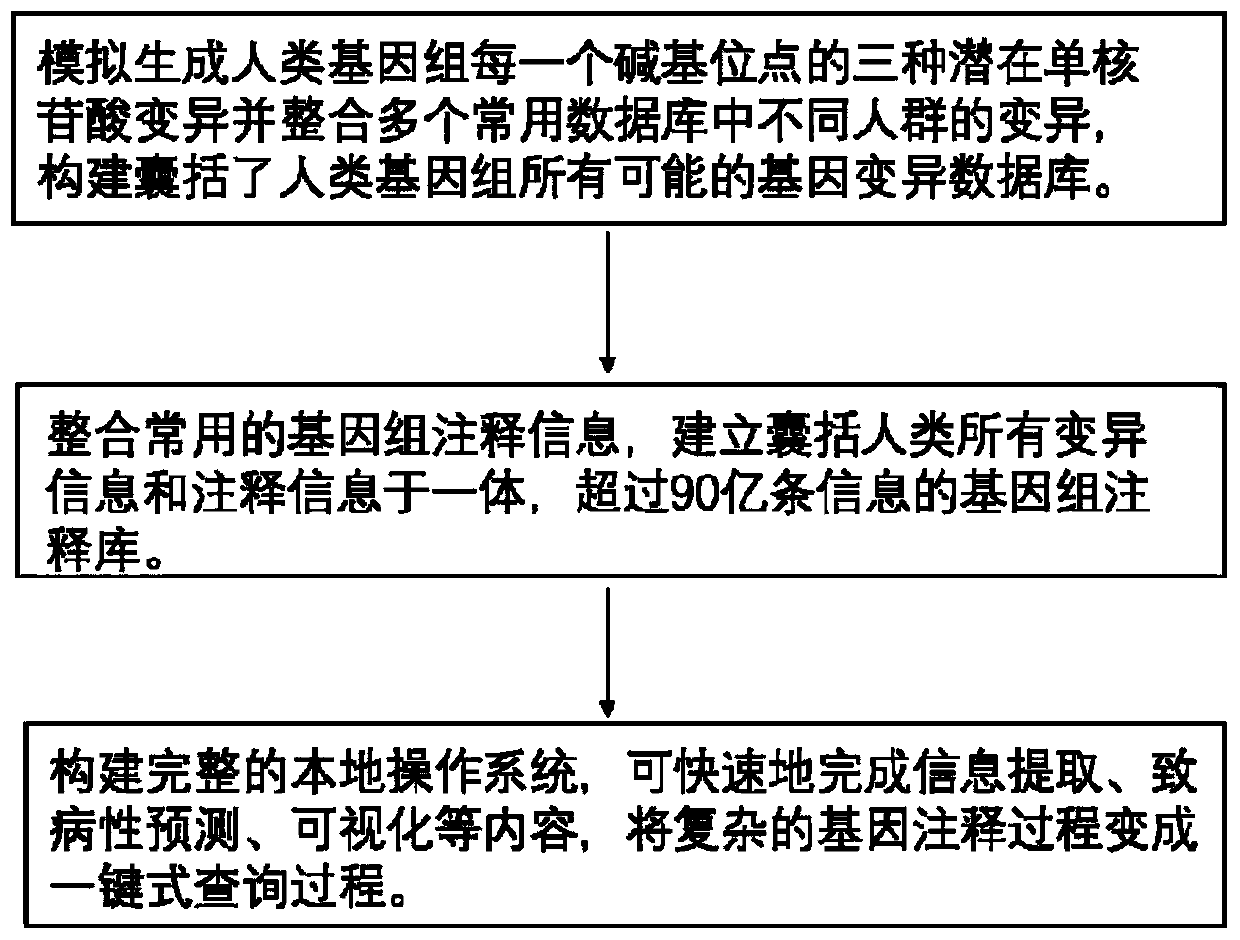 Method for quickly annotating gene mutations of human beings