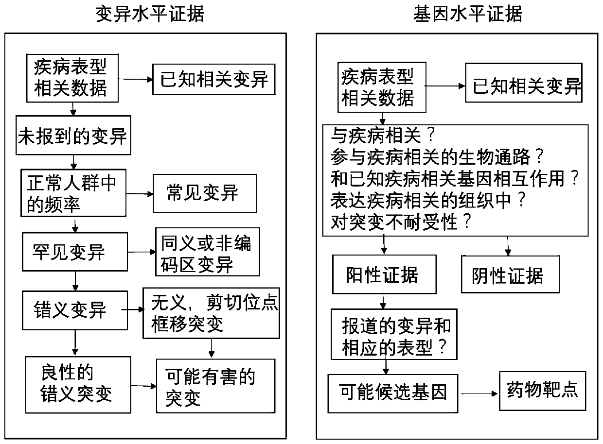 Method for quickly annotating gene mutations of human beings