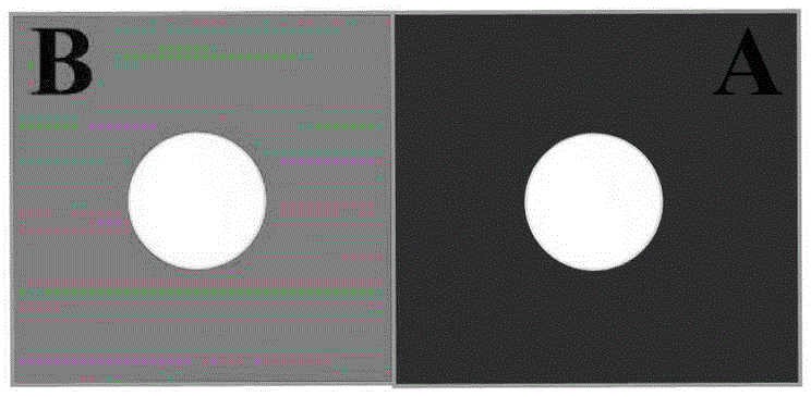 Method for detecting pesticide residues through paper-based visualized molecular imprinting biosensor