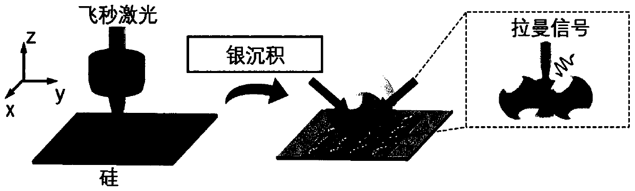 Preparation method of surface-enhanced Raman substrate with layered micro/nano structure