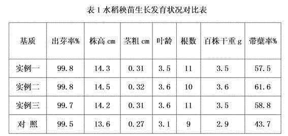 Rice dedicated carbon matrix seedling substrate and preparation method thereof