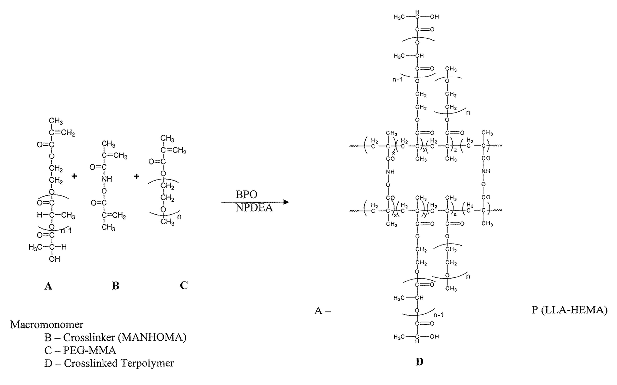 Biodegradable stealth polymeric particles fabricated using the macromonomer approach by free radical dispersion polymerization