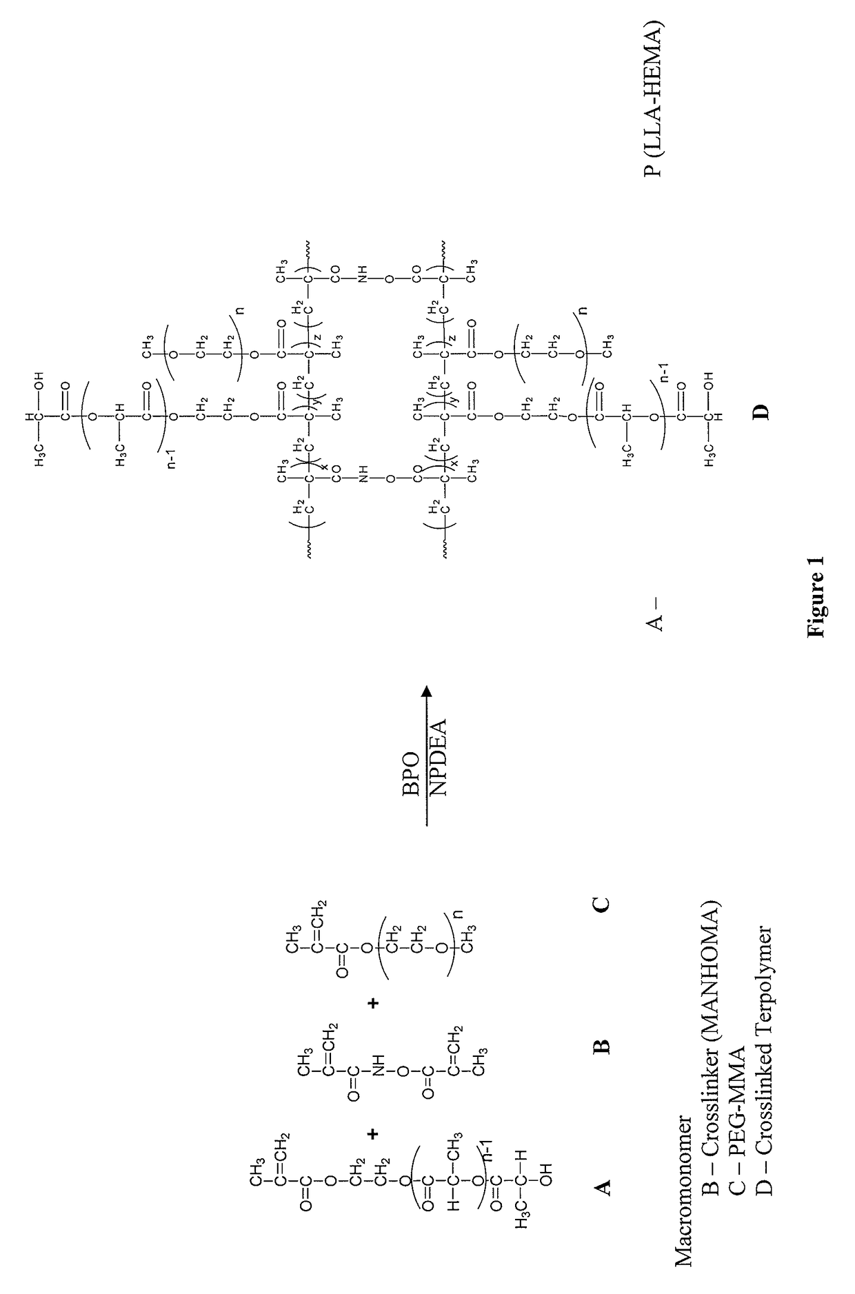 Biodegradable stealth polymeric particles fabricated using the macromonomer approach by free radical dispersion polymerization