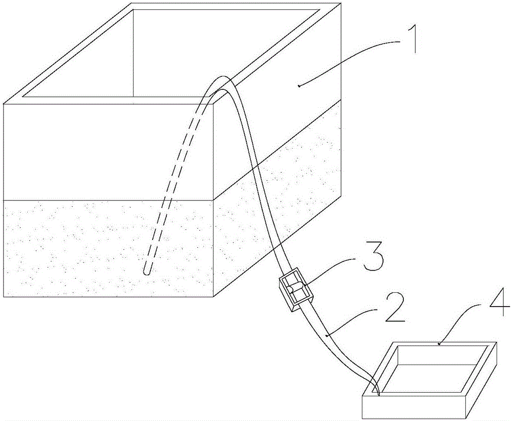 Cochineal insect breeding system and breeding method