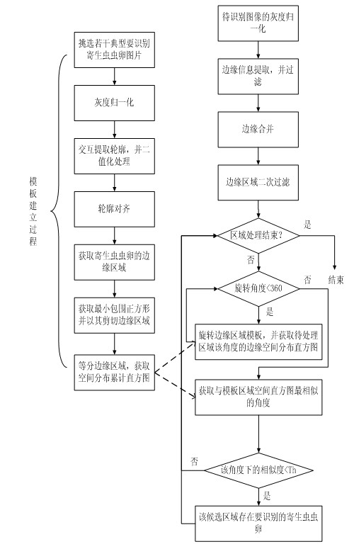 Image-based method for identifying shape of parasite egg