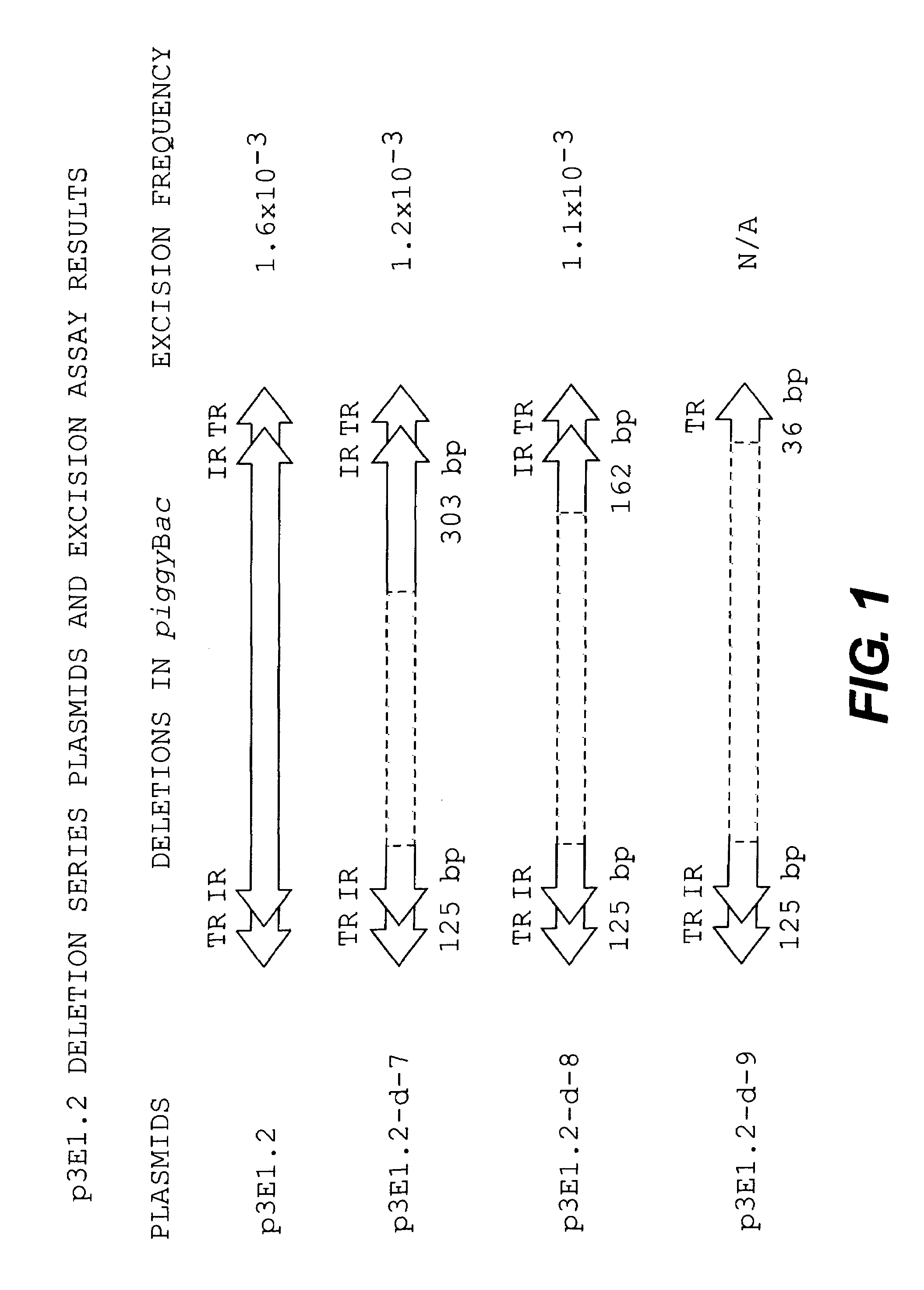 Methods and compositions for transposition using minimal segments of the eukaryotic transformation vector Piggybac