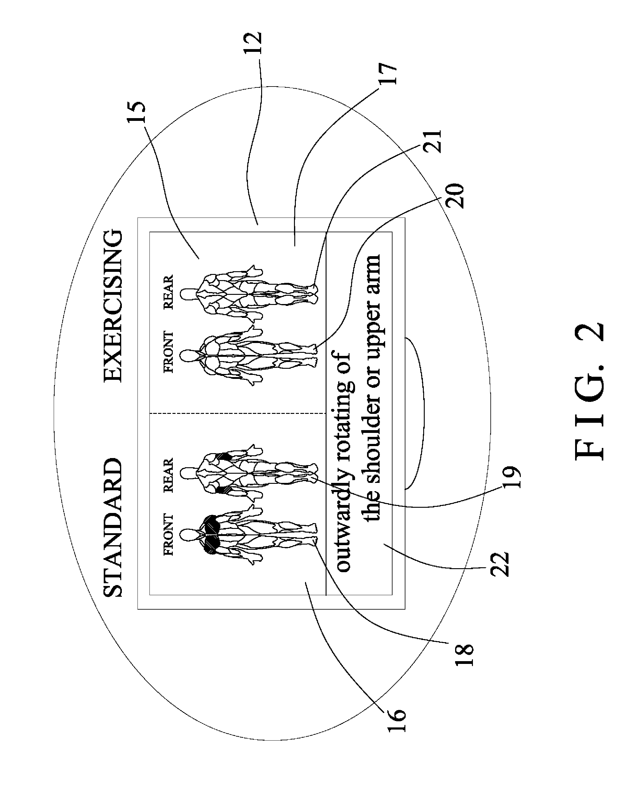 Muscle activity training facility for upper body of user