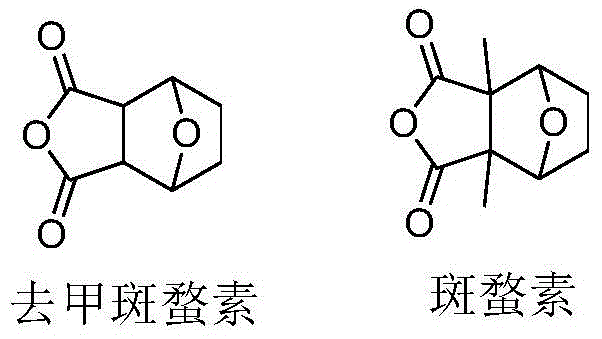 Acid-sensitive camptothecin-20-position ester derivative and antineoplastic application thereof