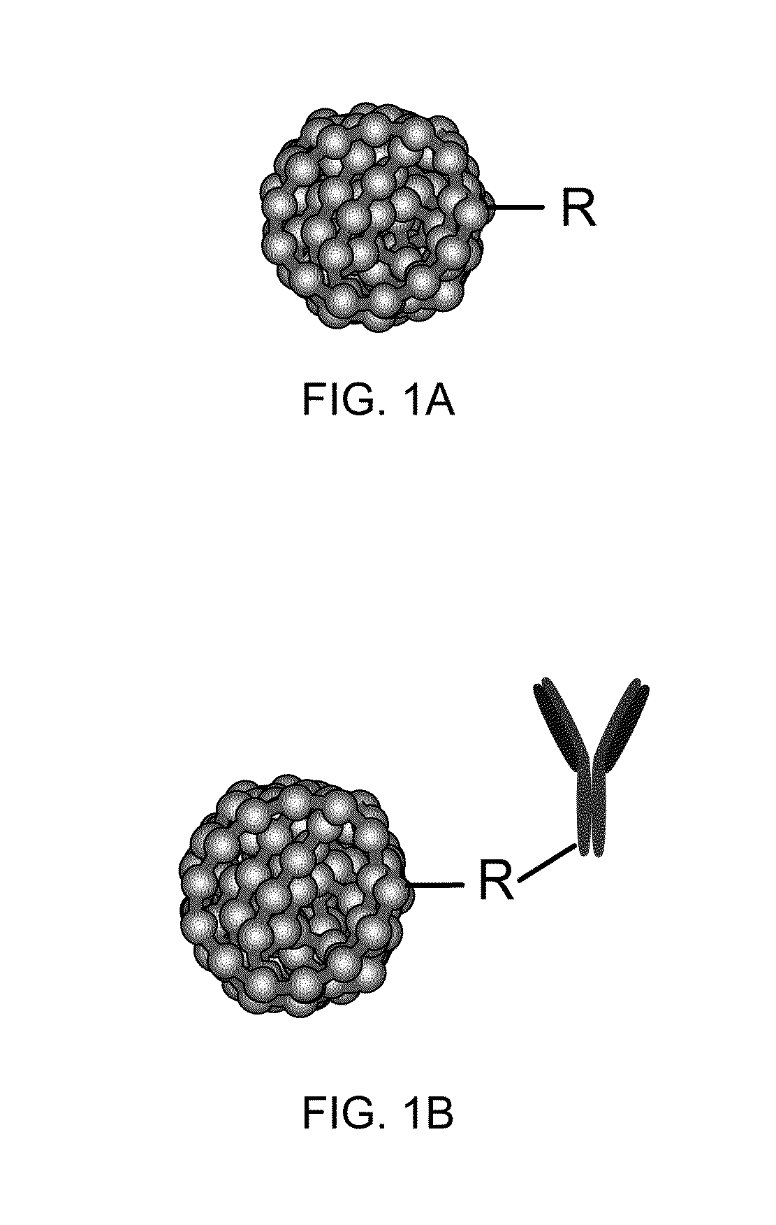 Chromophoric polymer dots