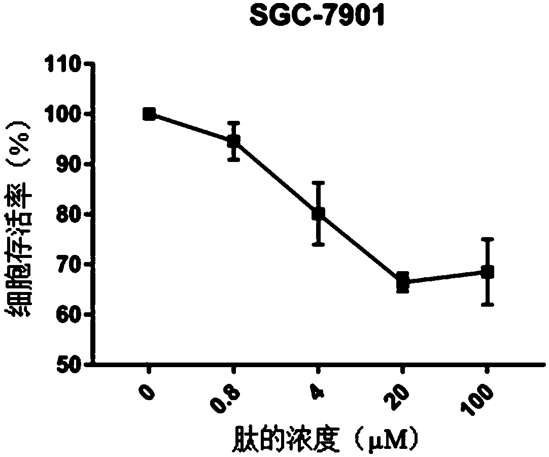 Anti-tumor small molecule peptide targeting FGFRs and application of anti-tumor small molecule peptide