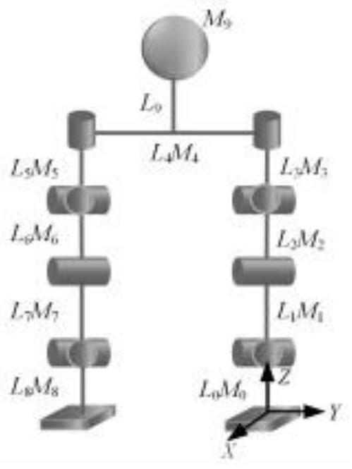 Online stably controlled humanoid robot based on bionic reinforcement learning type cerebellum model