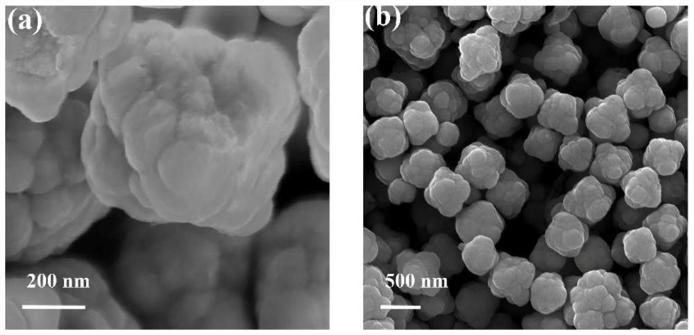 Preparation method of 3D electrode for non-enzymatic blood glucose detection