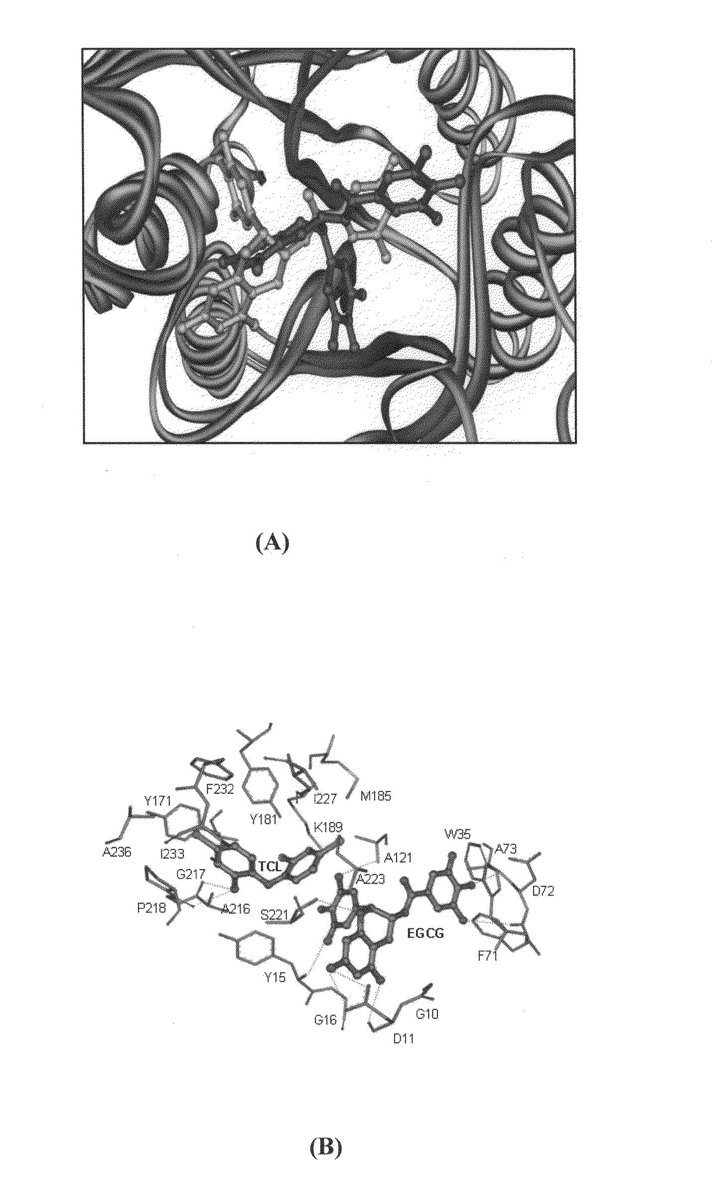 Synergistic composition for modulating activity of substrate analogs for NAD+, NADP+, NADH or NADPH dependent enzymes and process thereof