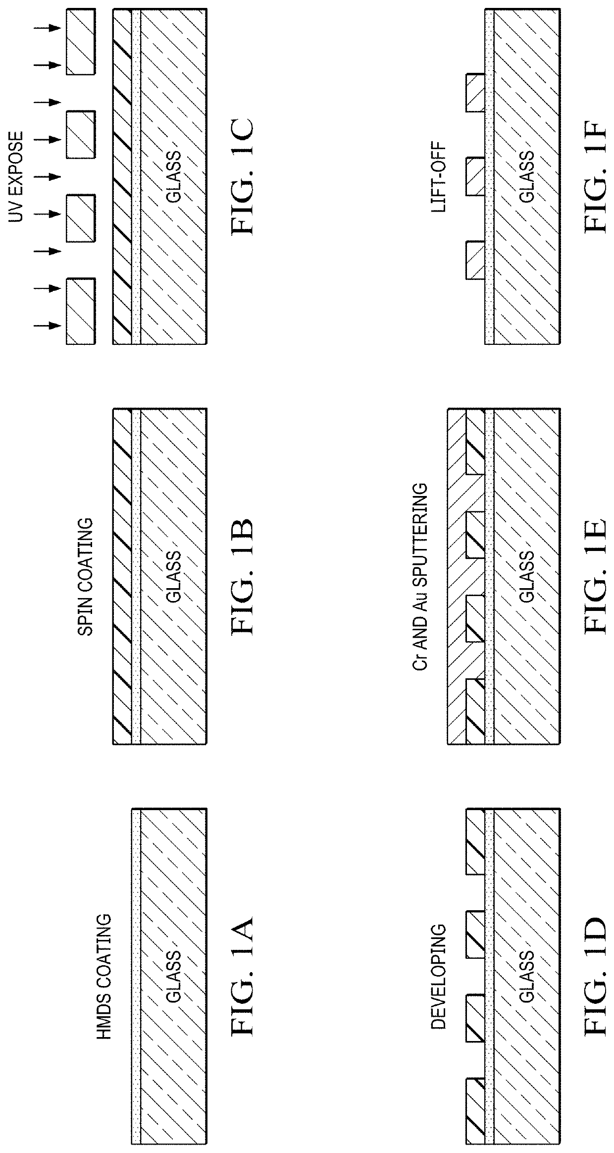 Sensor and Method for Detecting Target Molecules