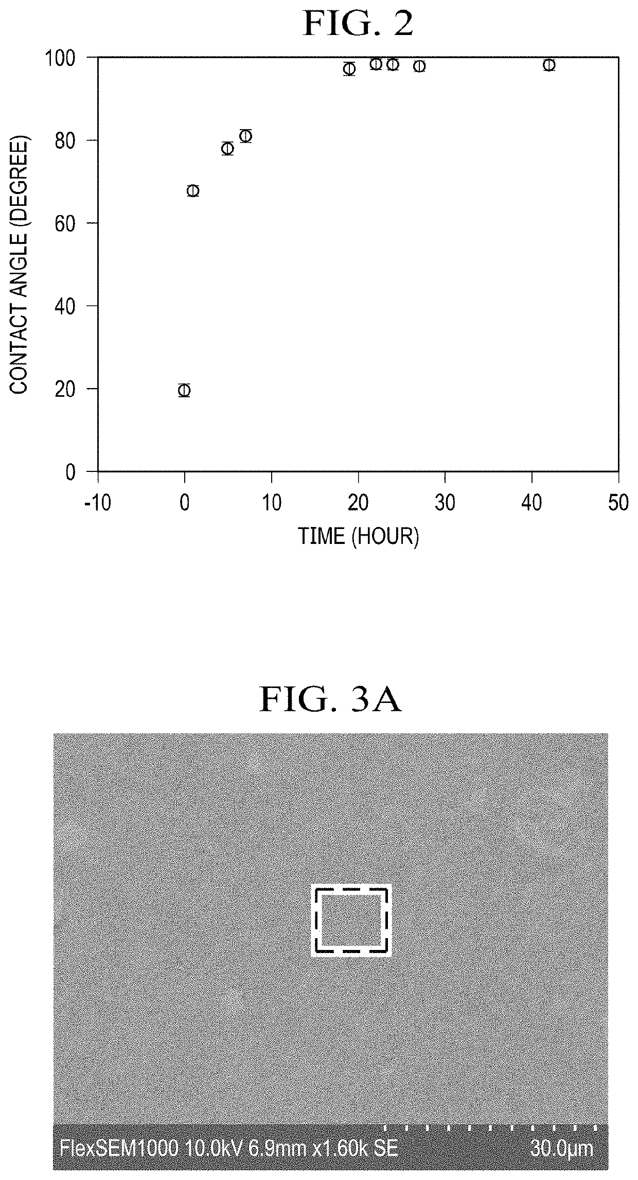 Sensor and Method for Detecting Target Molecules