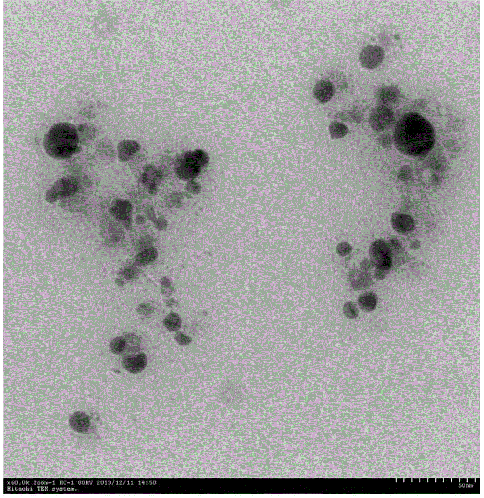 A Simple Method for Preparation of Nano Silver Using Bacterial Fermentation Broth