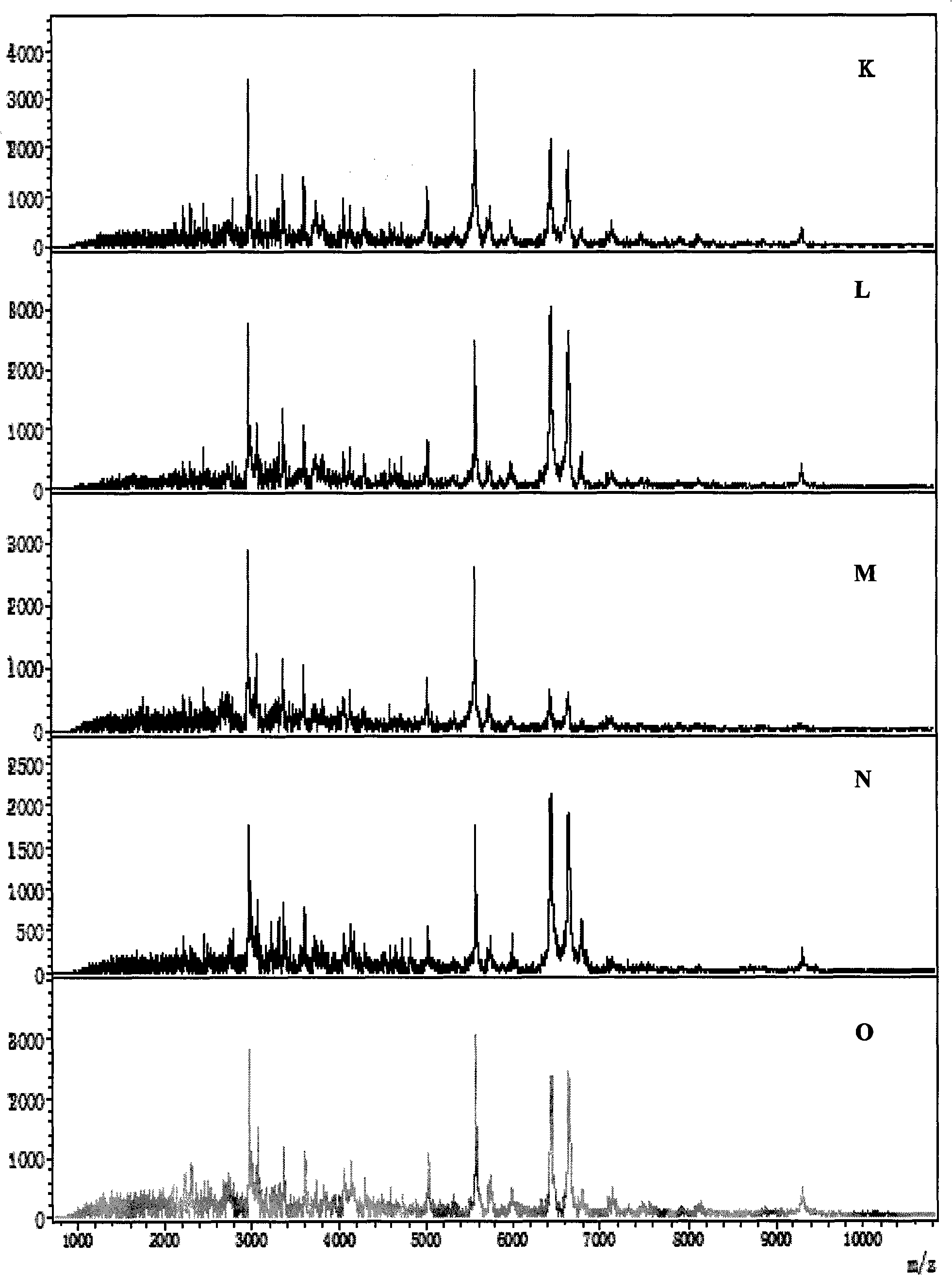 Mass spectrum model used for detecting liver cancer characteristic protein and preparation method thereof