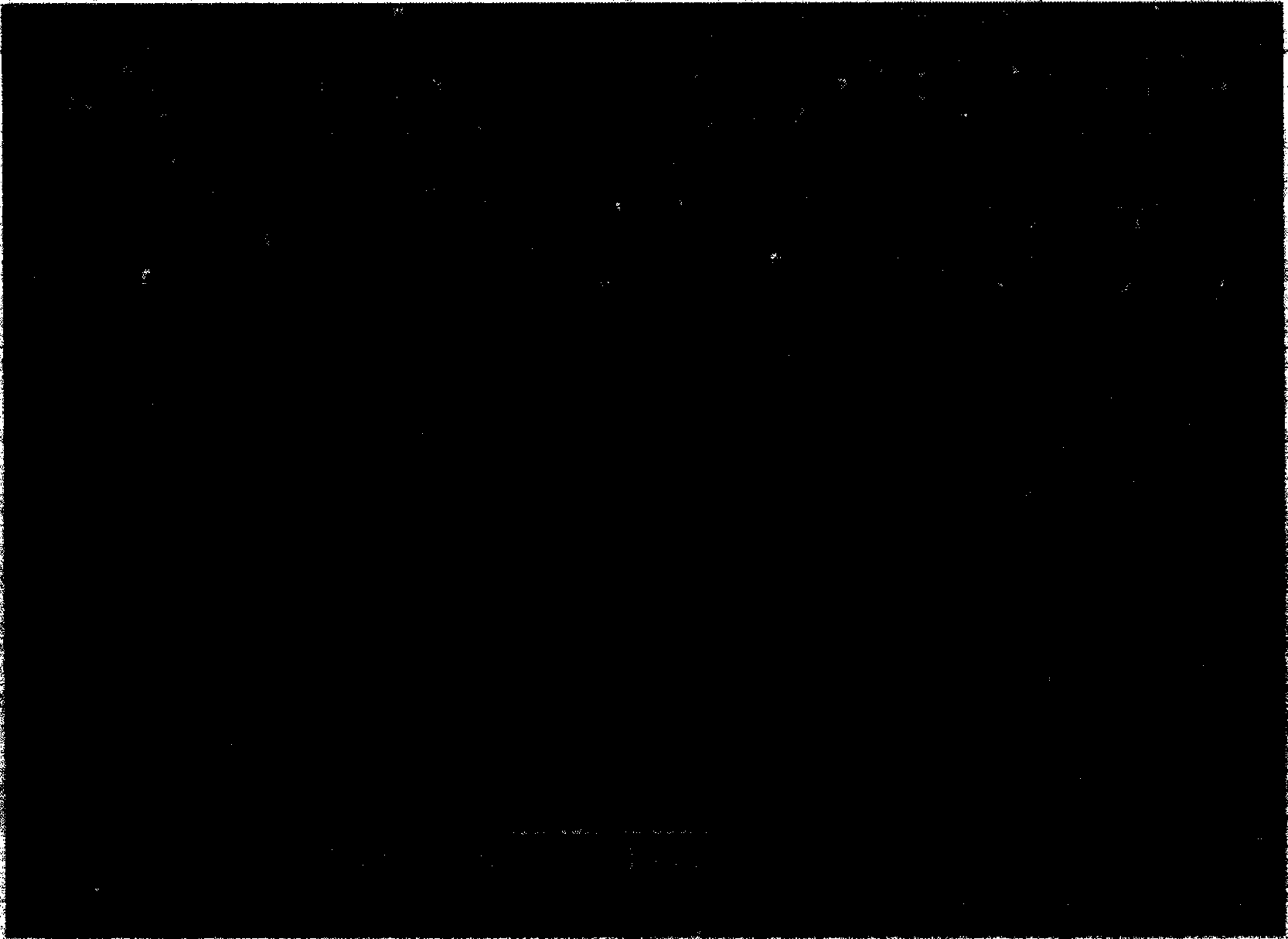 Al doped ZnO transparent conducting micrometer/nanometer wire array film and preparation method thereof