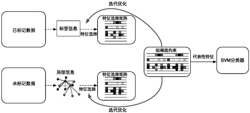 Semi-supervised face recognition method based on local information and group sparse constraints