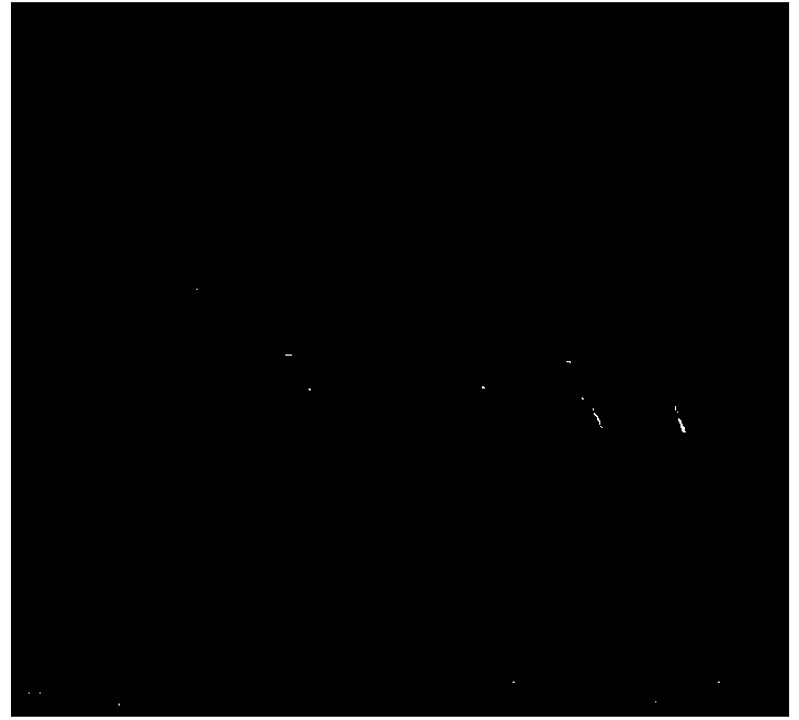 Hourglass type pore channel nuclear pore filtering film and preparation method thereof