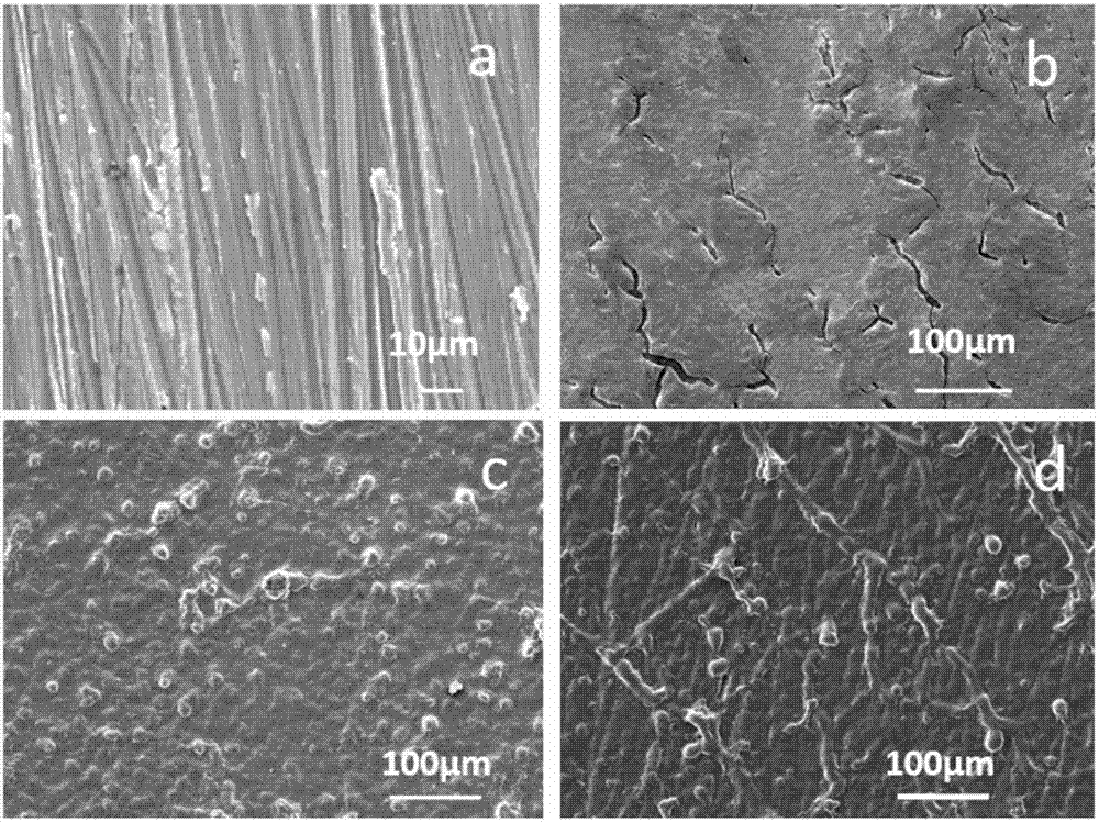 Preparation method for preparing graphene oxide anti-corrosion protective film on metal surface