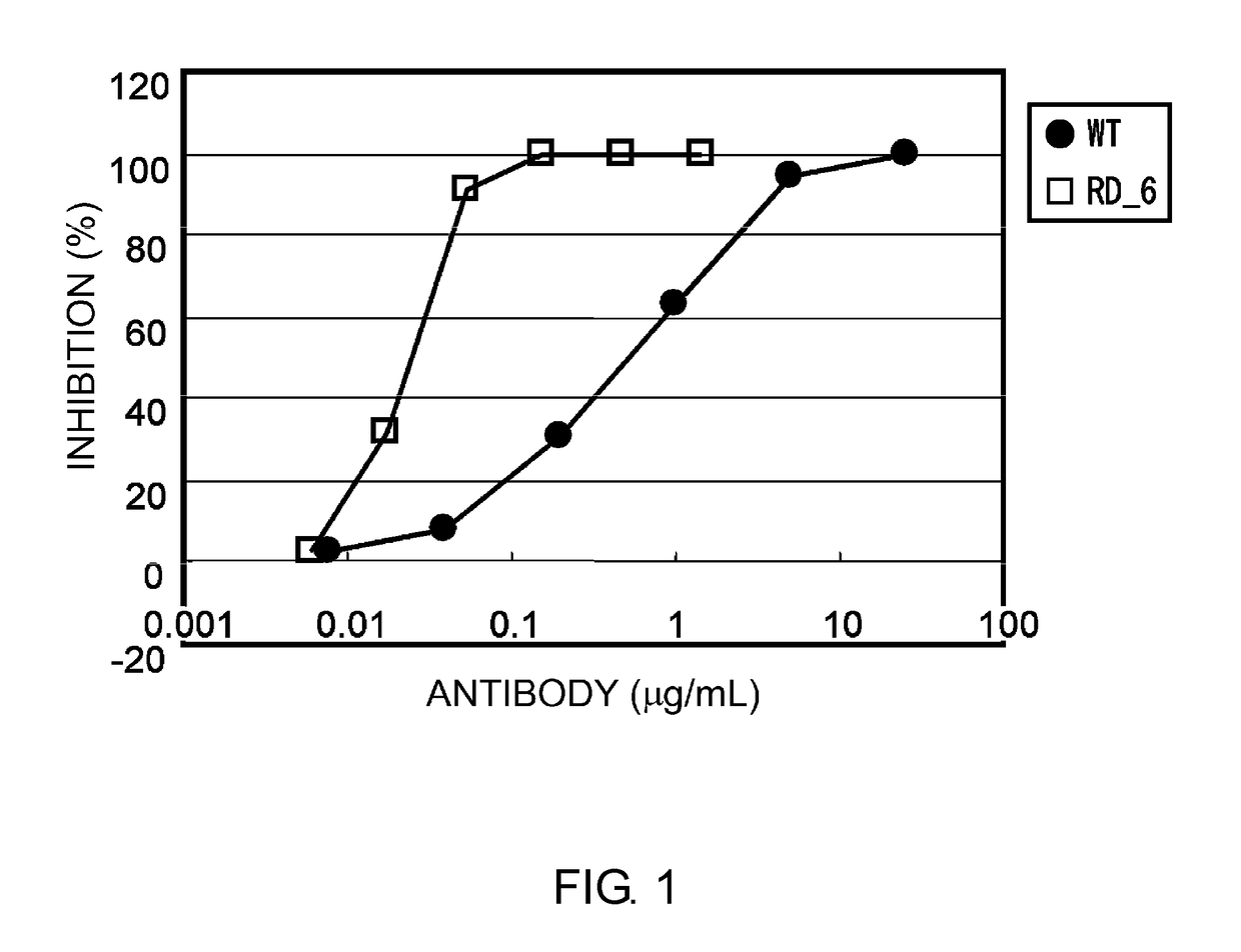 Anti-IL-6 Receptor Antibody