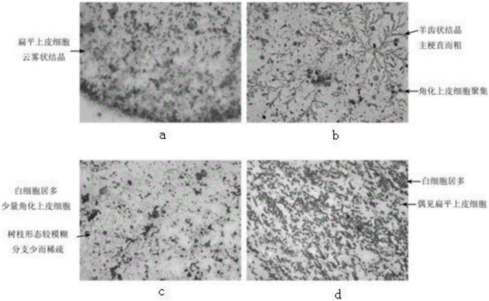 Method for increasing reproductive rate of heterocephalus glabers