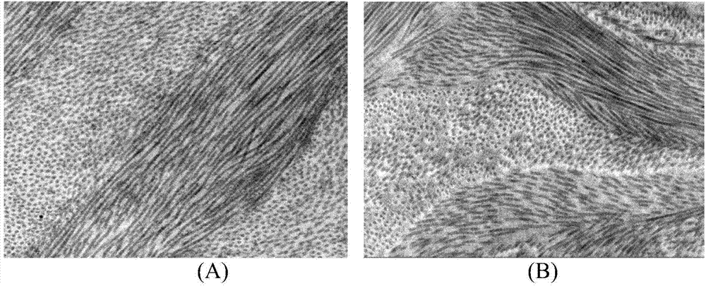 Acellular corneal stroma and preparing method for acellular corneal stroma