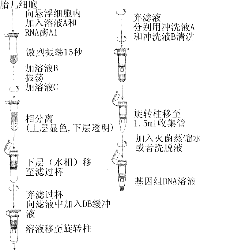 A kit for detecting Marfan syndrome and its preparation method