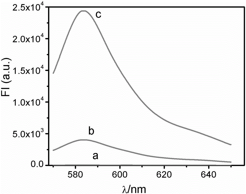 Method for rapidly detecting copper ions