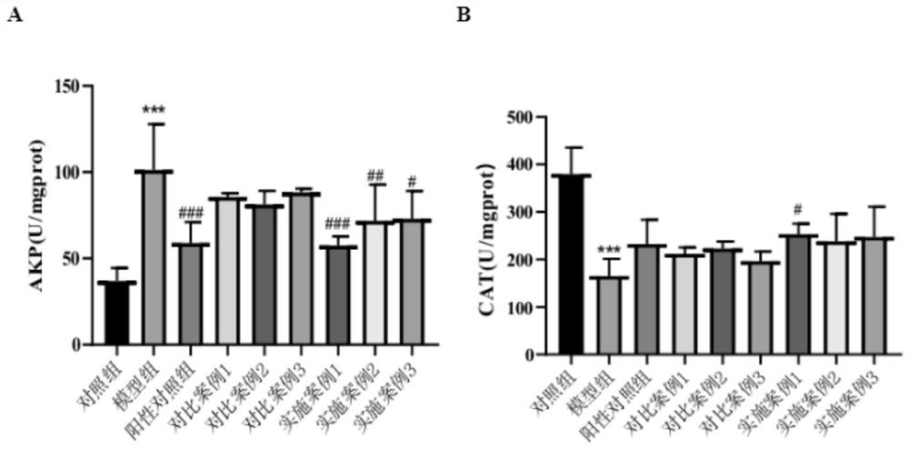 Preparation method of radix puerariae compound fermented beverage with effects of dispelling effects of alcohol and protecting liver