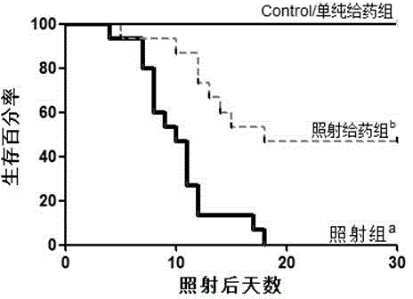 Application of polygonum cuspidatum in preparation for medicine for preventing and treating ionization radiation-induced intestinal injuries