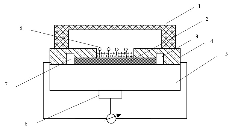 Silicon nano-wire biological sensor for detecting pesticide residues