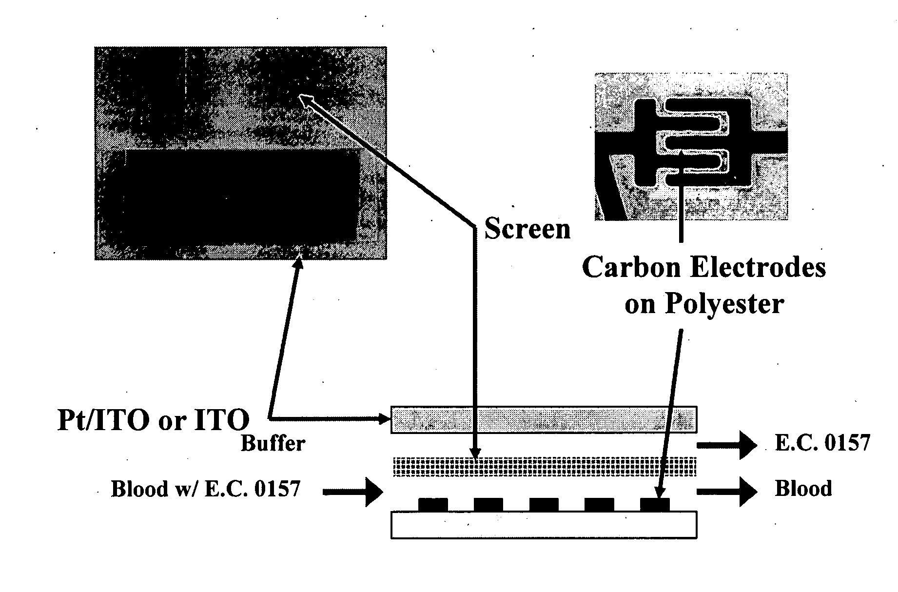 Three dimensional dielectrophoretic separator and methods of use